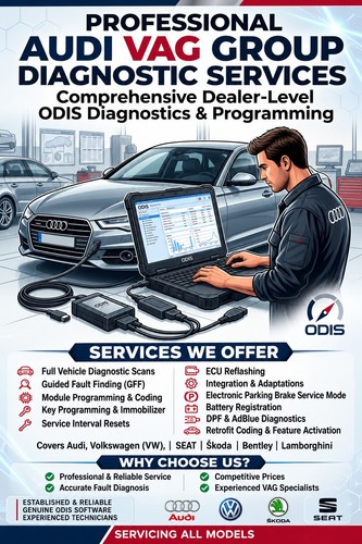 Vag odis dealer diagnostics - vag,
